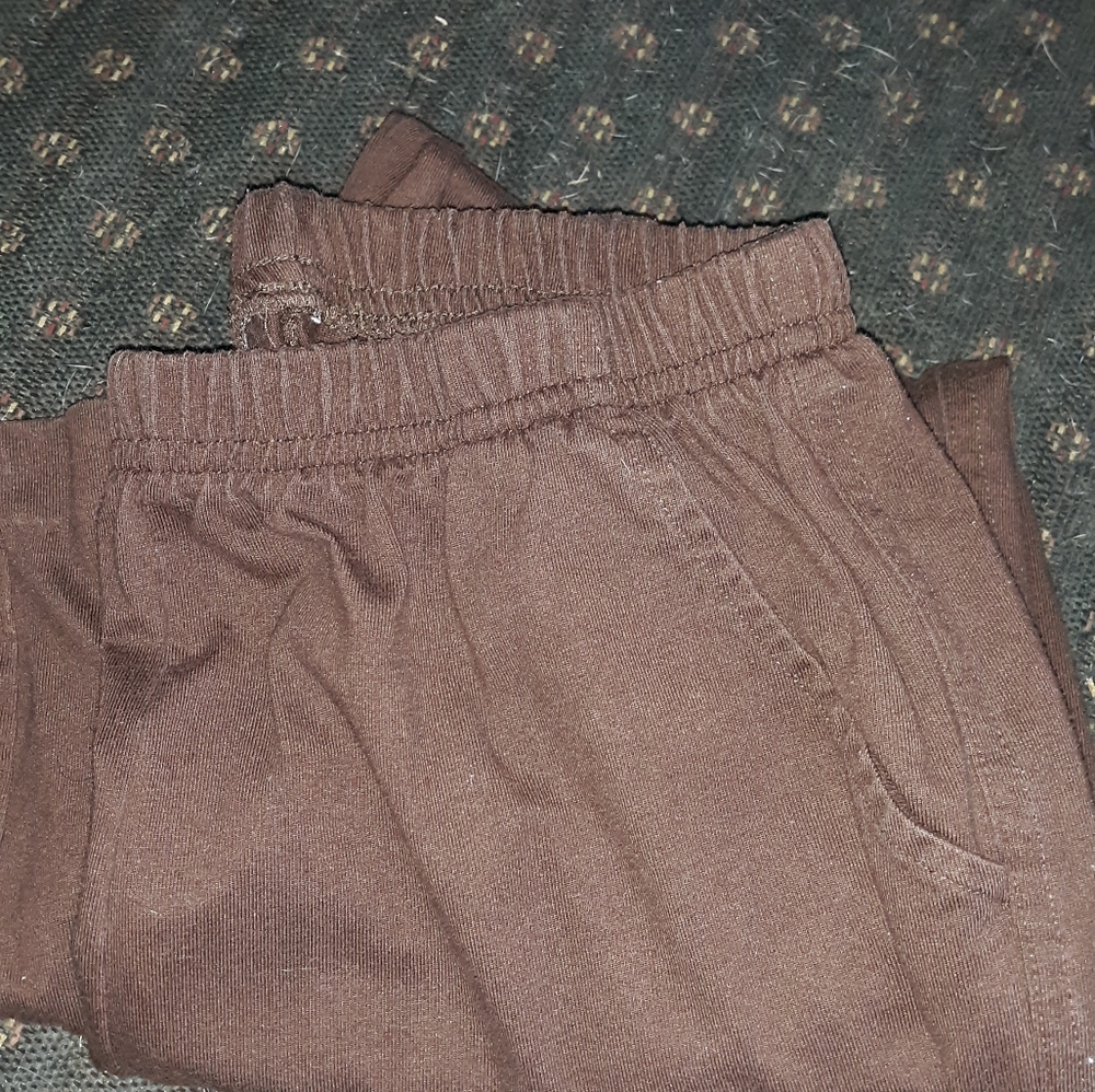 Brown petite m pants